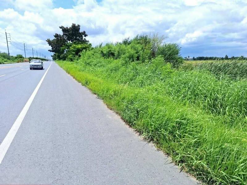 ที่ดินโคกโคเฒ่า สุพรรณบุรี, Suphan Buri, Khok Kho Thao, Muang Suphanburi, Suphan Buri, , 6,400 sqm, Land For Sale, by The Best Property หาญ, 500557074 - DDproperty.com