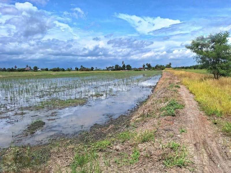 ที่ดินโคกโคเฒ่า สุพรรณบุรี, Suphan Buri, Khok Kho Thao, Muang Suphanburi, Suphan Buri, , 6,400 sqm, Land For Sale, by The Best Property หาญ, 500557074 - DDproperty.com