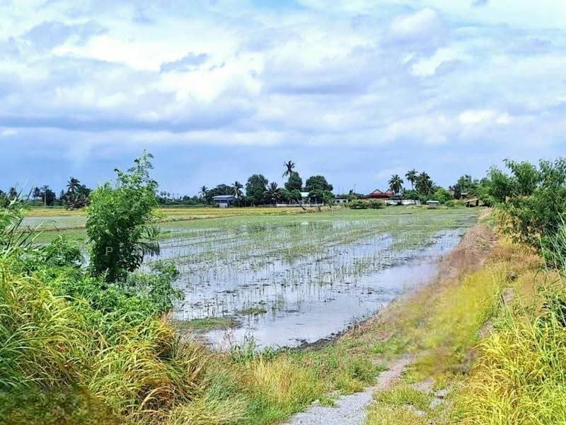 ที่ดินโคกโคเฒ่า สุพรรณบุรี, Suphan Buri, Khok Kho Thao, Muang Suphanburi, Suphan Buri, , 6,400 sqm, Land For Sale, by The Best Property หาญ, 500557074 - DDproperty.com
