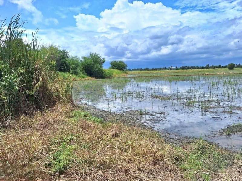 ที่ดินโคกโคเฒ่า สุพรรณบุรี, สุพรรณบุรี, โคกโคเฒ่า, เมืองสุพรรณบุรี, สุพรรณบุรี, 6,400 ตร.ม., ที่ดิน ขาย, โดย The Best Property หาญ, 500557074 - DDproperty.com