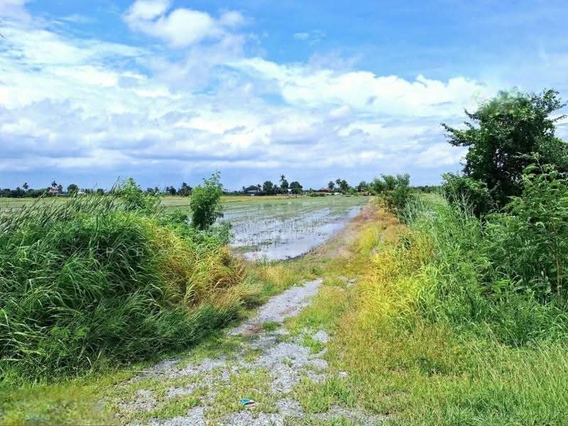 ที่ดินโคกโคเฒ่า สุพรรณบุรี, Suphan Buri, Khok Kho Thao, Muang Suphanburi, Suphan Buri, , 6,400 sqm, Land For Sale, by The Best Property หาญ, 500557074 - DDproperty.com