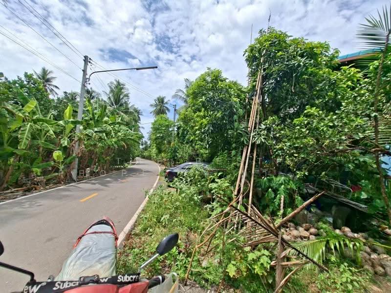 บ้านเดี่ยวอัมพวา สมุทรสงคราม, สมุทรสงคราม, เหมืองใหม่, อัมพวา, สมุทรสงคราม, 150 ตร.ม., บ้านเดี่ยว ขาย, โดย The Best Property น้ำหวาน, 500557197 - DDproperty.com