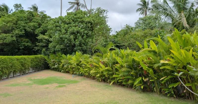 Tropical 3-4 Bedroom Garden Pool Villa in Lamai, สุราษฎร์ธานี, มะเร็ต, เกาะสมุย, สุราษฎร์ธานี, 566 ตร.ม., วิลล่า ขาย, โดย Conrad Properties, 500557313 - DDproperty.com
