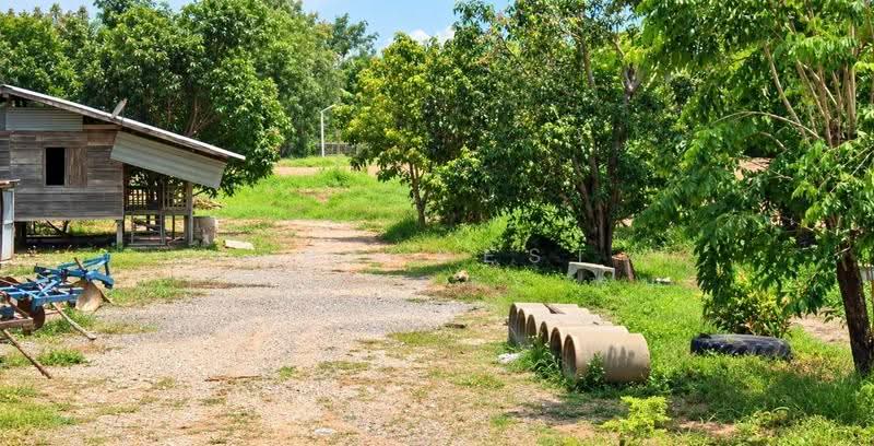 ที่ดินทองแสนขัน อุตรดิตถ์, Uttaradit, Bo Thong, Thong Saen Khan, Uttaradit, , 1,712 sqm, Land For Sale, by The Best Property รบ, 500557445 - DDproperty.com