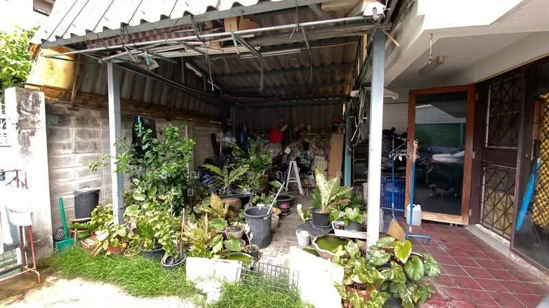 บ้านเดี่ยว 2 ชั้น 39 ตร.ว. บ้านเดี่ยว ใกล้วัดกุนนทีรุทธาราม (วัดห้วยขวาง) ซอยอินทามระ59, Bangkok, ถนนอินทรามระ, Din Daeng, Bangkok, 2 Bedrooms, 150 sqm, Single Detached House For Sale, by คุณ ชญาดา มหาปิยานนท์ (ไนท์), 500557580 - DDproperty.com