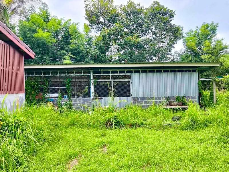 บ้านเดี่ยวพร้อมที่ดินปากพลี นครนายก, Nakhon Nayok, Khok Kruat, Pak Phli, Nakhon Nayok, 3 Bedrooms, 100 sqm, Single Detached House For Sale, by The Best Property แอม, 500557581 - DDproperty.com