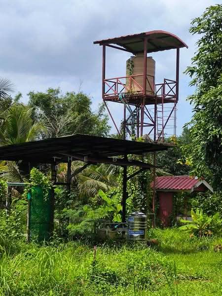 บ้านเดี่ยวพร้อมที่ดินปากพลี นครนายก, นครนายก, โคกกรวด, ปากพลี, นครนายก, 100 ตร.ม., บ้านเดี่ยว ขาย, โดย The Best Property แอม, 500557581 - DDproperty.com