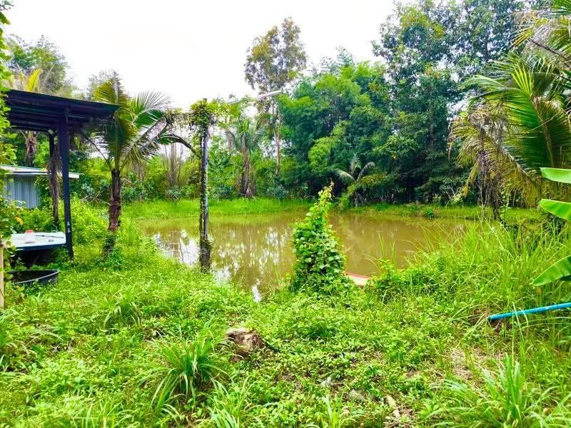 บ้านเดี่ยวพร้อมที่ดินปากพลี นครนายก, Nakhon Nayok, Khok Kruat, Pak Phli, Nakhon Nayok, 3 Bedrooms, 100 sqm, Single Detached House For Sale, by The Best Property แอม, 500557581 - DDproperty.com