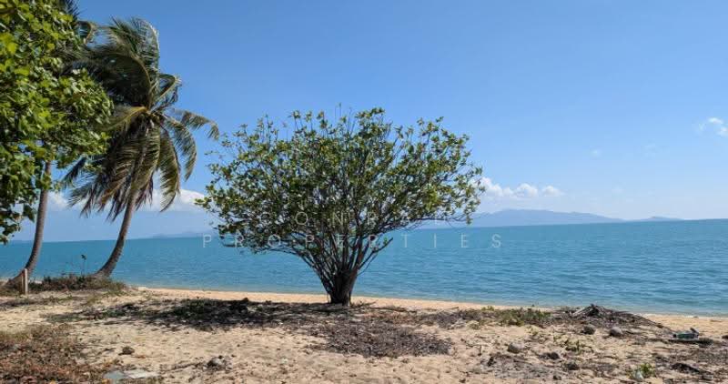 Prime Beachfront Land for Sale in Maenam, สุราษฎร์ธานี, แม่น้ำ, เกาะสมุย, สุราษฎร์ธานี, 8,016 ตร.ม., ที่ดิน ขาย, โดย Conrad Properties, 500557616 - DDproperty.com