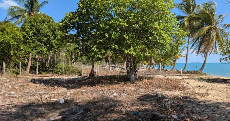 Prime Beachfront Land for Sale in Maenam, สุราษฎร์ธานี, แม่น้ำ, เกาะสมุย, สุราษฎร์ธานี, 8,016 ตร.ม., ที่ดิน ขาย, โดย Conrad Properties, 500557616 - DDproperty.com