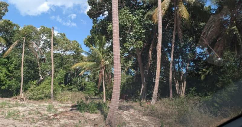 Prime Beachfront Land for Sale in Maenam, สุราษฎร์ธานี, แม่น้ำ, เกาะสมุย, สุราษฎร์ธานี, 8,016 ตร.ม., ที่ดิน ขาย, โดย Conrad Properties, 500557616 - DDproperty.com