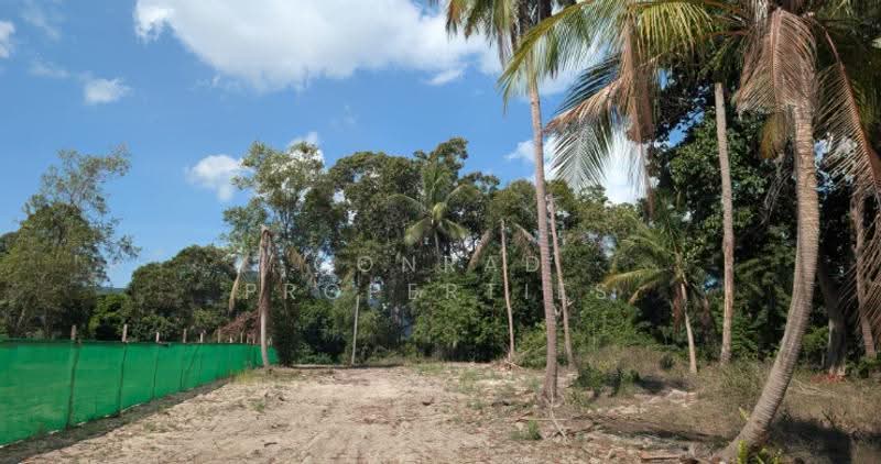 Prime Beachfront Land for Sale in Maenam, สุราษฎร์ธานี, แม่น้ำ, เกาะสมุย, สุราษฎร์ธานี, 8,016 ตร.ม., ที่ดิน ขาย, โดย Conrad Properties, 500557616 - DDproperty.com