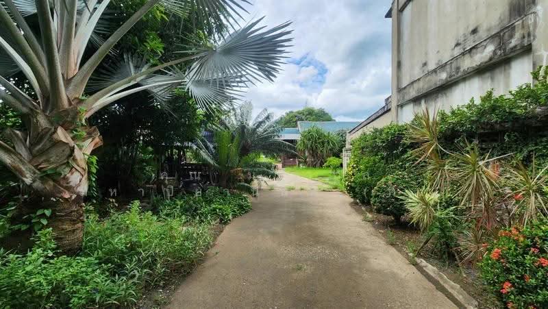 บ้านเดี่ยว 2 ชั้น + ที่ดิน 516 ตร.ว. ใกล้เทศบาลเมืองกระทุ่มแบน ถนนสุคนธวิทย์, สมุทรสาคร, ถนนสุคนธวิทย์, ตลาดกระทุ่มแบน, กระทุ่มแบน, สมุทรสาคร, 2,064 ตร.ม., ที่ดิน ขาย, โดย คุณ มหากุล มหาปิยานนท์ (คิง), 500557633 - DDproperty.com