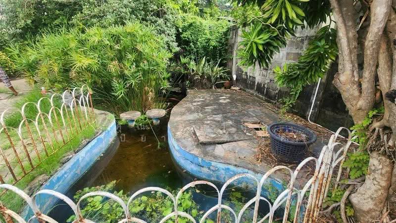 บ้านเดี่ยว 2 ชั้น + ที่ดิน 516 ตร.ว. ใกล้เทศบาลเมืองกระทุ่มแบน ถนนสุคนธวิทย์, สมุทรสาคร, ถนนสุคนธวิทย์, ตลาดกระทุ่มแบน, กระทุ่มแบน, สมุทรสาคร, 2,064 ตร.ม., ที่ดิน ขาย, โดย คุณ มหากุล มหาปิยานนท์ (คิง), 500557633 - DDproperty.com