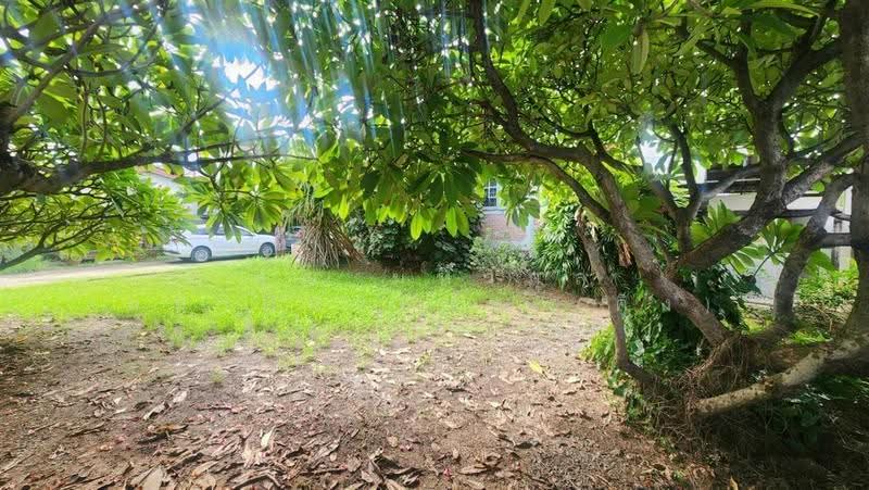 บ้านเดี่ยว 2 ชั้น + ที่ดิน 516 ตร.ว. ใกล้เทศบาลเมืองกระทุ่มแบน ถนนสุคนธวิทย์, Samut Sakhon, ถนนสุคนธวิทย์, Krathumbaen, Krathum Baen, Samut Sakhon, , 2,064 sqm, Land For Sale, by คุณ มหากุล มหาปิยานนท์ (คิง), 500557633 - DDproperty.com