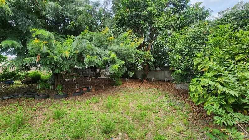 บ้านเดี่ยว 2 ชั้น + ที่ดิน 516 ตร.ว. ใกล้เทศบาลเมืองกระทุ่มแบน ถนนสุคนธวิทย์, สมุทรสาคร, ถนนสุคนธวิทย์, ตลาดกระทุ่มแบน, กระทุ่มแบน, สมุทรสาคร, 2,064 ตร.ม., ที่ดิน ขาย, โดย คุณ มหากุล มหาปิยานนท์ (คิง), 500557633 - DDproperty.com