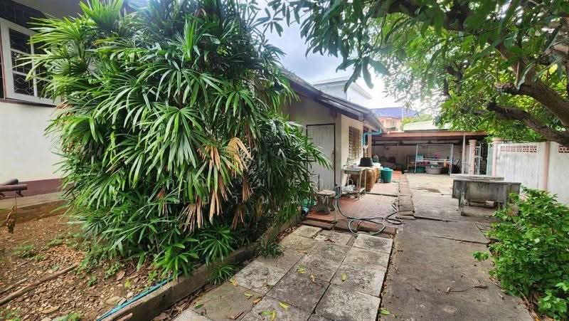 บ้านเดี่ยว 2 ชั้น + ที่ดิน 516 ตร.ว. ใกล้เทศบาลเมืองกระทุ่มแบน ถนนสุคนธวิทย์, สมุทรสาคร, ถนนสุคนธวิทย์, ตลาดกระทุ่มแบน, กระทุ่มแบน, สมุทรสาคร, 2,064 ตร.ม., ที่ดิน ขาย, โดย คุณ มหากุล มหาปิยานนท์ (คิง), 500557633 - DDproperty.com