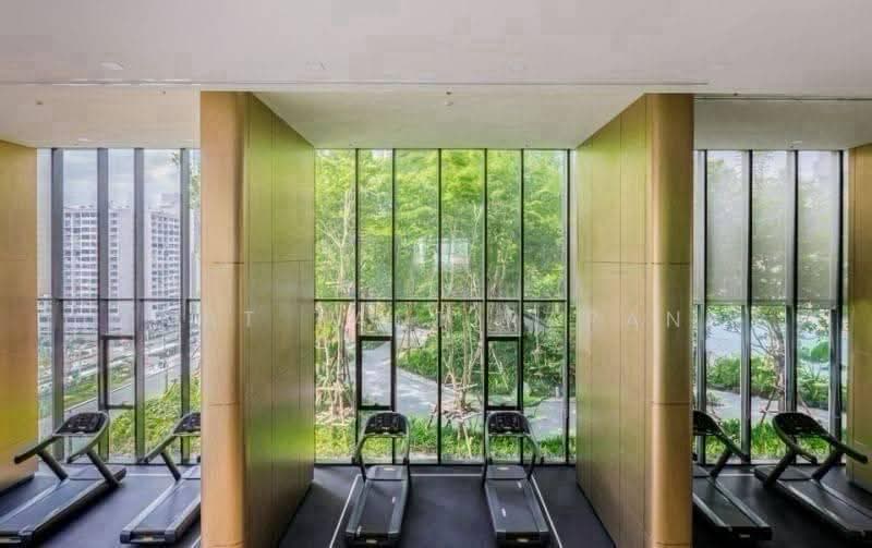One9Five Asoke-Rama 9, Bangkok, 195 Soi Rama 9 Soi 5, Huai Khwang, Bangkok, 1 Bedroom, 36 sqm, Condo For Rent, by Nat Tantirapan, 500557813 - DDproperty.com