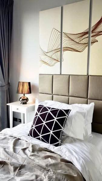 CEIL by Sansiri, Bangkok, 11 Soi Ekamai 12, Sukhumvit 63 Road, Khlong Tan Nua, Watthana, Bangkok, 2 Bedrooms, 72 sqm, Condo For Rent, by Kornkanok Sonvichai, 500557955 - DDproperty.com