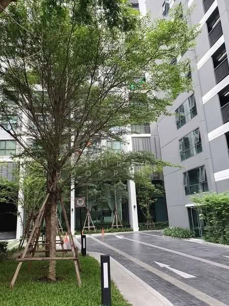 Life Sukhumvit 48, Bangkok, Soi Sukhumvit 48, Phra Kanong, Khlong Toei, Bangkok, 1 Bedroom, 31 sqm, Condo For Sale, by Somrad Phoopruksachart, 500558021 - DDproperty.com