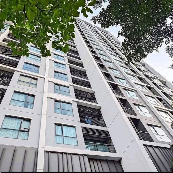 Life Sukhumvit 48, Bangkok, Soi Sukhumvit 48, Phra Kanong, Khlong Toei, Bangkok, 1 Bedroom, 33 sqm, Condo For Rent, by Jettapat Jaroonpipatkun, 500558213 - DDproperty.com
