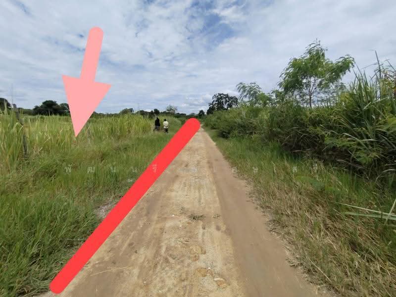 ขายที่โฉนด 5 ไร่ และ 4 ไร่ รวม 9 ไร่ ปากช่อง เขาใหญ่, Nakhon Ratchasima, Khanong Phra, Pak Chong, Nakhon Ratchasima, , 14,400 sqm, Land For Sale, by พัฒน์นรี พิเศษเสรี, 500558283 - DDproperty.com