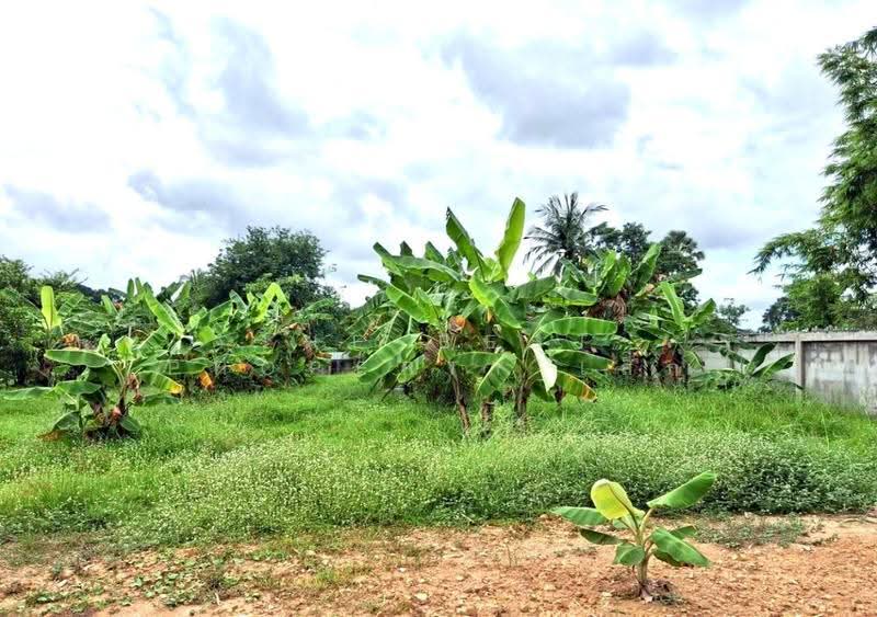 ที่ดินท่าอิฐ อุตรดิตถ์, Uttaradit, Tha It, Muang Uttaradit, Uttaradit, , 1,758 sqm, Land For Sale, by The Best Property เล็ก, 500558306 - DDproperty.com