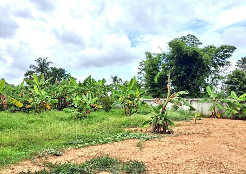 ที่ดินท่าอิฐ อุตรดิตถ์, Uttaradit, Tha It, Muang Uttaradit, Uttaradit, , 1,758 sqm, Land For Sale, by The Best Property เล็ก, 500558306 - DDproperty.com