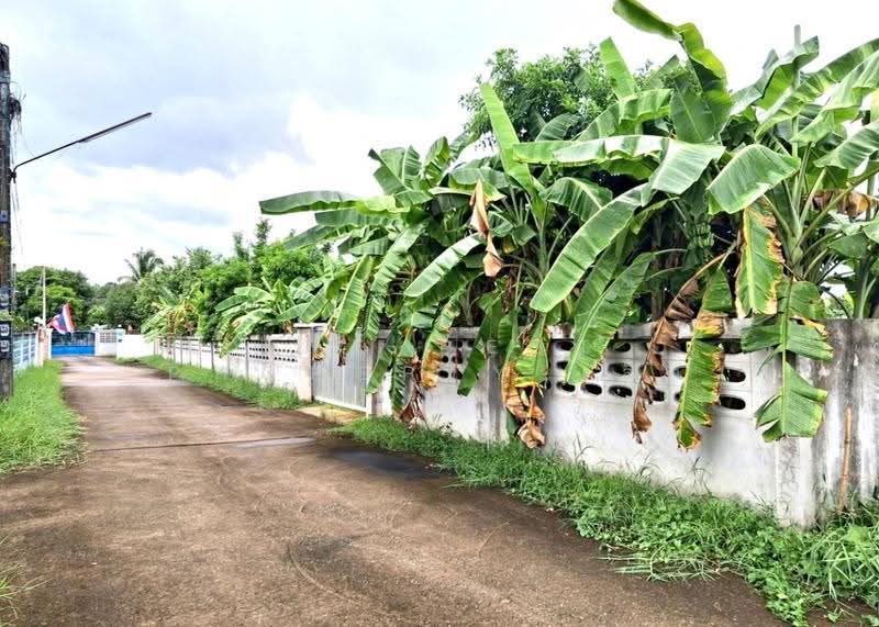 ที่ดินท่าอิฐ อุตรดิตถ์, Uttaradit, Tha It, Muang Uttaradit, Uttaradit, , 1,758 sqm, Land For Sale, by The Best Property เล็ก, 500558306 - DDproperty.com