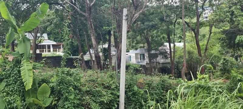 1-BR House, Phuket, Chalong, Muang Phuket, Phuket, 1 Bedroom, 47 sqm, Single Detached House For Sale, by Puttirat Kleebyam, 500558500 - DDproperty.com