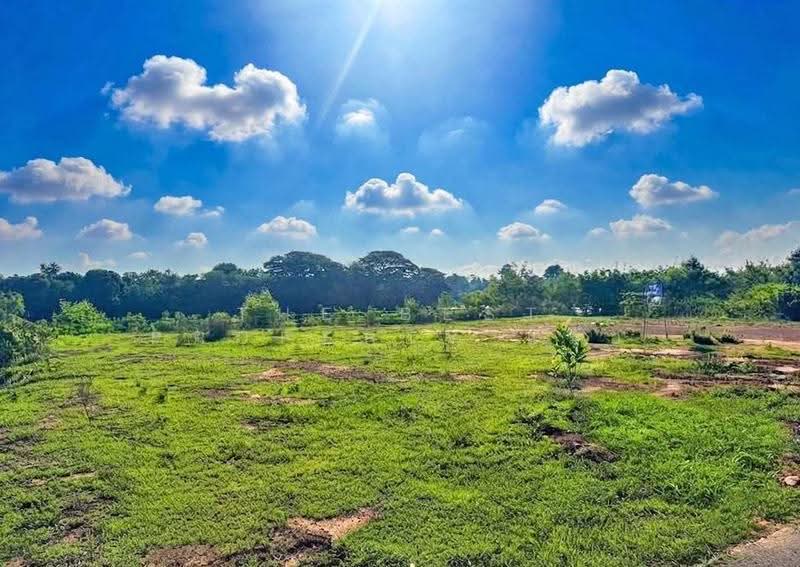 ที่ดินดอนตาล มุกดาหาร, Mukdahan, Don Tan, Don Tan, Mukdahan, , 840 sqm, Land For Sale, by The Best Property แมว, 500558542 - DDproperty.com