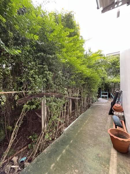 Noble Geo Watcharapol, Bangkok, Soi Ruammit Phatthana, Tha Rang, Bang Khen, Bangkok, 3 Bedrooms, 224 sqm, Single Detached House For Sale, by การุณ ชมภูบุตร, 500558689 - DDproperty.com