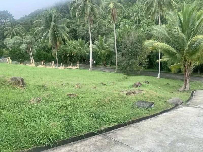 1-BR House, Surat Thani, Mae Nam, Ko Samui, Surat Thani, 1 Bedroom, 47 sqm, Single Detached House For Sale, by Sirisongkran Kasemkun, 500558857 - DDproperty.com