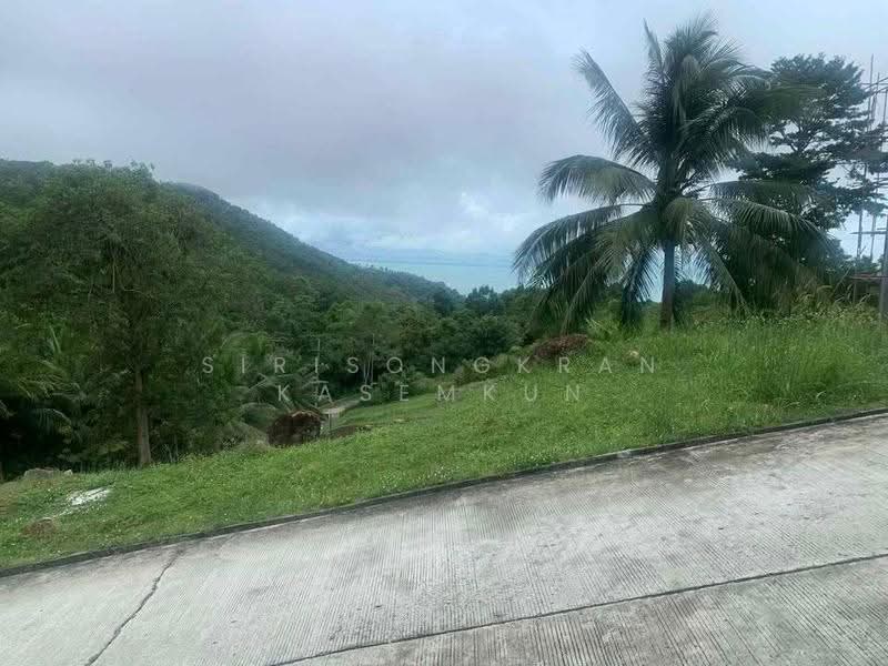 1-BR House, Surat Thani, Mae Nam, Ko Samui, Surat Thani, 1 Bedroom, 47 sqm, Single Detached House For Sale, by Sirisongkran Kasemkun, 500558857 - DDproperty.com