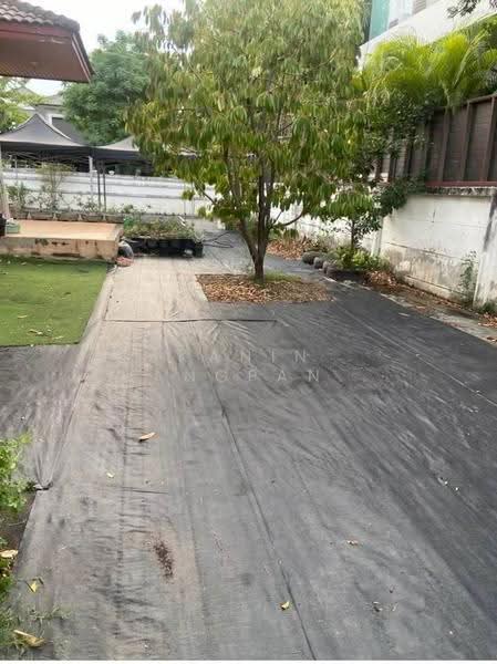บ้าน 5-ห้องนอน, กรุงเทพ, คลองจั่น, บางกะปิ, กรุงเทพ, 434 ตร.ม., บ้านเดี่ยว ขาย, โดย Kanin Thangpanyawa, 500558901 - DDproperty.com