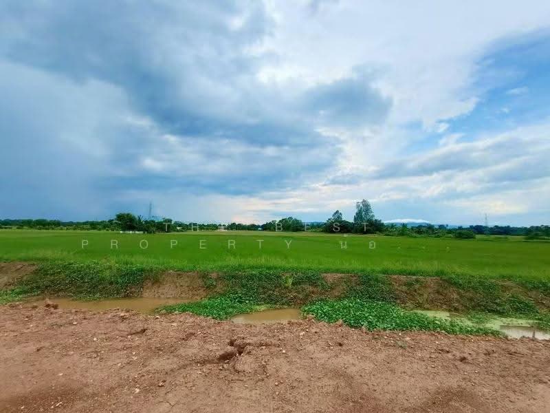 ที่ดินบ้านเกาะ อุตรดิตถ์, Uttaradit, Ban Ko, Muang Uttaradit, Uttaradit, , 4,000 sqm, Land For Sale, by The Best Property น้อยหน่า, 500558936 - DDproperty.com