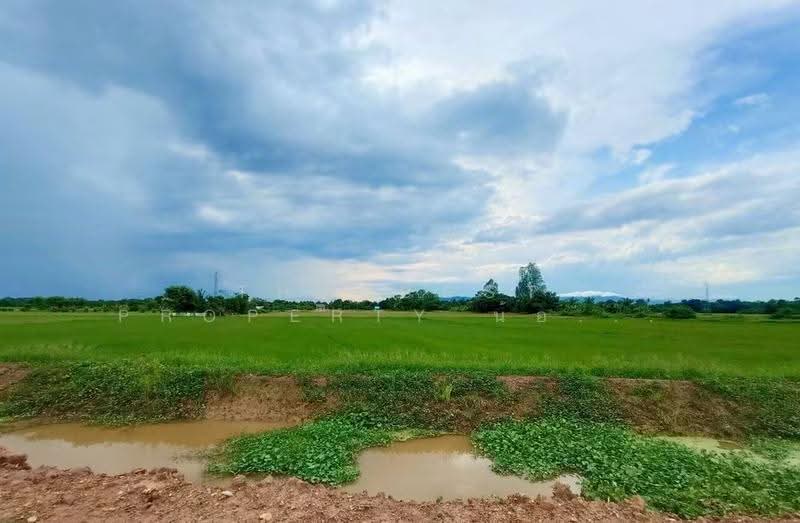 ที่ดินบ้านเกาะ อุตรดิตถ์, Uttaradit, Ban Ko, Muang Uttaradit, Uttaradit, , 4,000 sqm, Land For Sale, by The Best Property น้อยหน่า, 500558936 - DDproperty.com