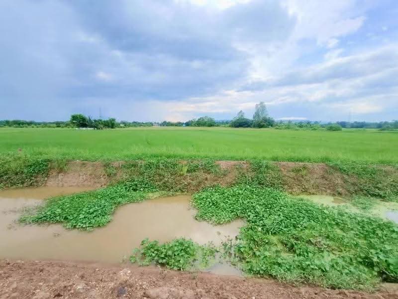 ที่ดินบ้านเกาะ อุตรดิตถ์, อุตรดิตถ์, บ้านเกาะ, เมืองอุตรดิตถ์, อุตรดิตถ์, 4,000 ตร.ม., ที่ดิน ขาย, โดย The Best Property น้อยหน่า, 500558936 - DDproperty.com