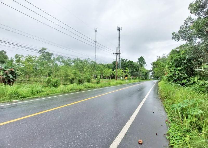 ที่ดินทุ่งสง นครศรีธรรมราช, Nakhon Si Thammarat, Khao Ro, Thung Song, Nakhon Si Thammarat, , 17,232 sqm, Land For Sale, by The Best Property เบล, 500558989 - DDproperty.com