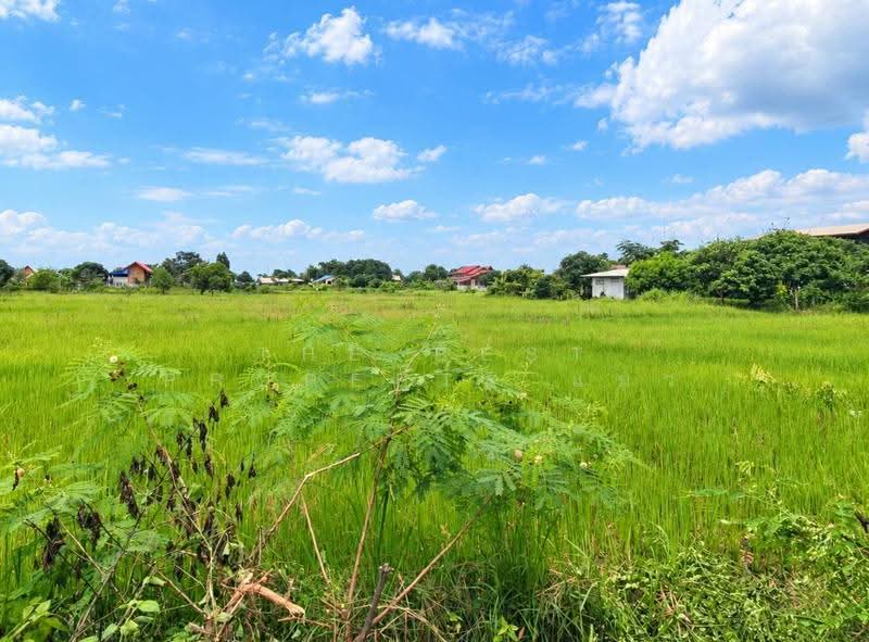 ที่ดินธาตุพนม นครพนม, Nakhon Phanom, That Phanom, Nakhon Phanom, , 5,335 sqm, Land For Sale, by The Best Property แมว, 500559044 - DDproperty.com
