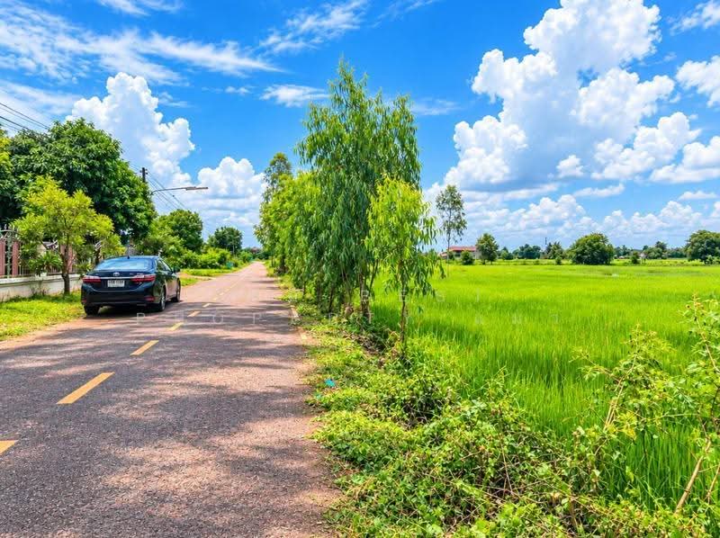 ที่ดินธาตุพนม นครพนม, Nakhon Phanom, That Phanom, Nakhon Phanom, , 5,335 sqm, Land For Sale, by The Best Property แมว, 500559044 - DDproperty.com