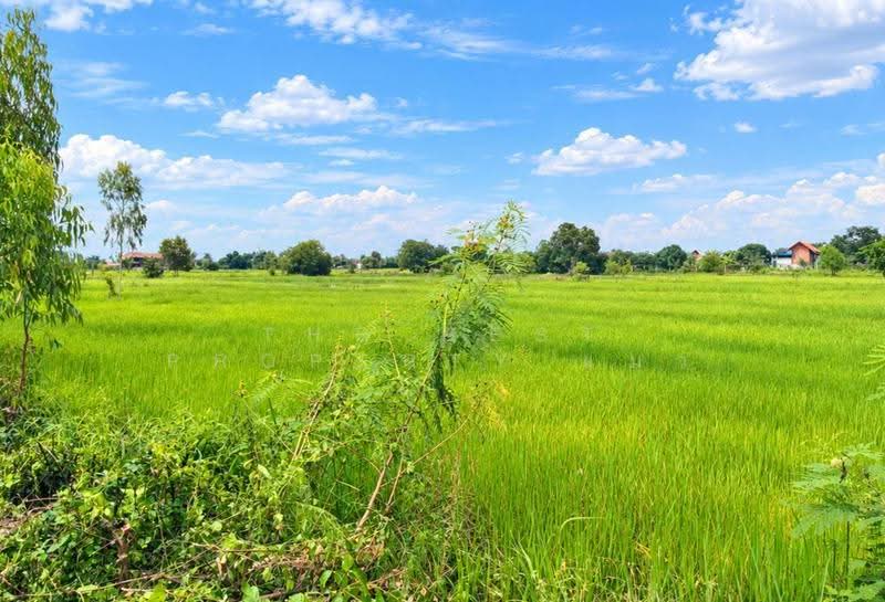 ที่ดินธาตุพนม นครพนม, Nakhon Phanom, That Phanom, Nakhon Phanom, , 5,335 sqm, Land For Sale, by The Best Property แมว, 500559044 - DDproperty.com