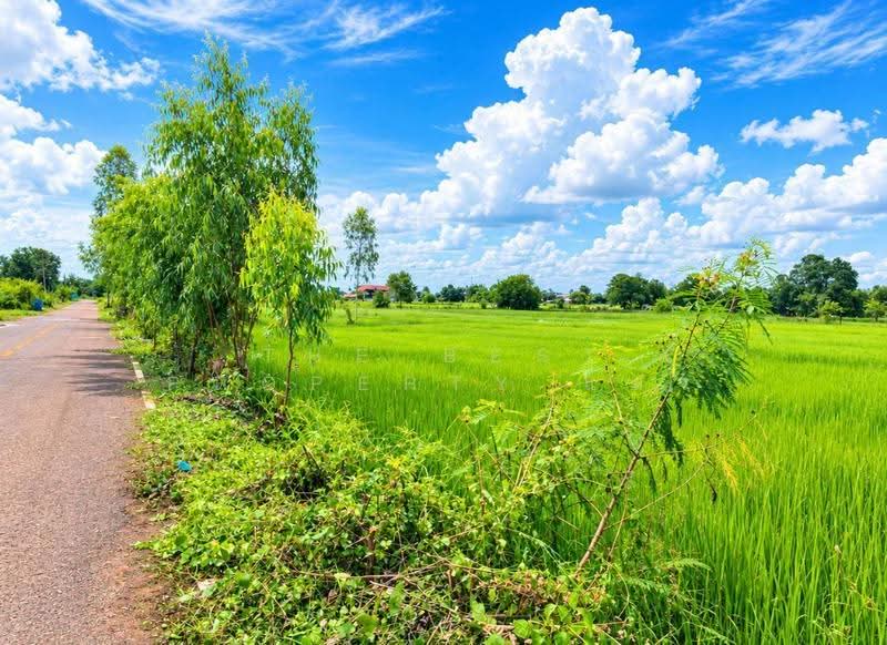 ที่ดินธาตุพนม นครพนม, Nakhon Phanom, That Phanom, Nakhon Phanom, , 5,335 sqm, Land For Sale, by The Best Property แมว, 500559044 - DDproperty.com