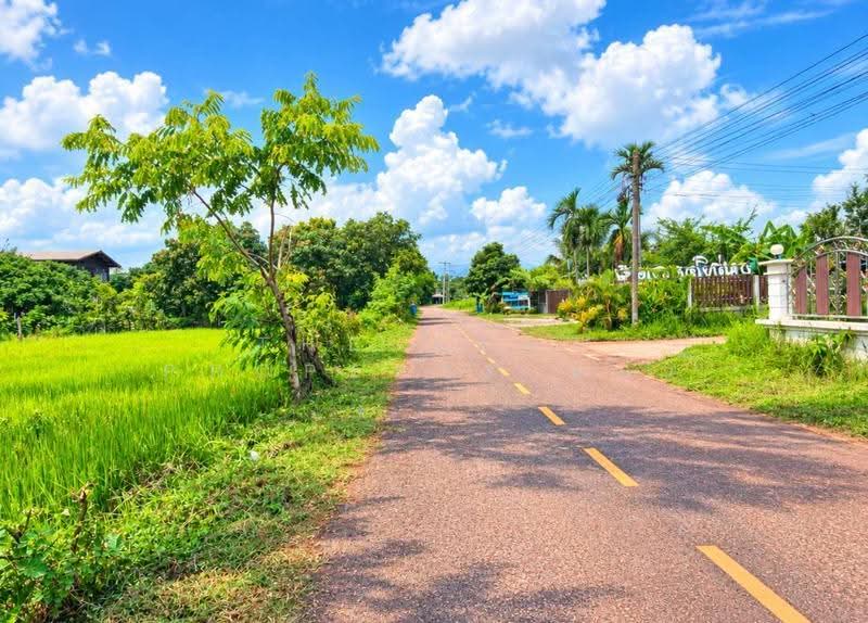 ที่ดินธาตุพนม นครพนม, Nakhon Phanom, That Phanom, Nakhon Phanom, , 5,335 sqm, Land For Sale, by The Best Property แมว, 500559044 - DDproperty.com