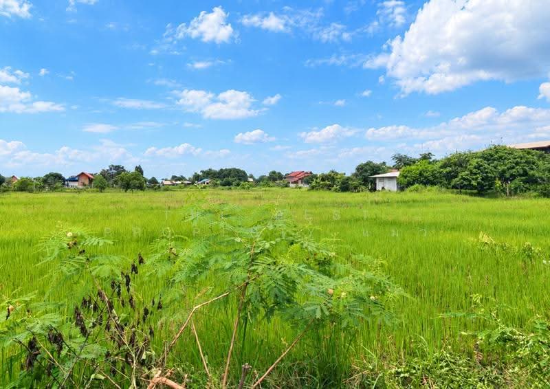 ที่ดินธาตุพนม นครพนม, Nakhon Phanom, That Phanom, Nakhon Phanom, , 5,335 sqm, Land For Sale, by The Best Property แมว, 500559044 - DDproperty.com