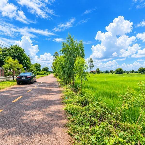 ที่ดินธาตุพนม นครพนม, Nakhon Phanom, That Phanom, Nakhon Phanom, , 5,335 sqm, Land For Sale, by The Best Property แมว, 500559044 - DDproperty.com