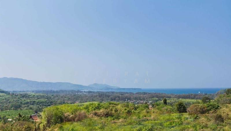 La Colline : ลา คอลลีน, ภูเก็ต, 52 Soi Layan 7, เชิงทะเล, ถลาง, ภูเก็ต, 3,000 ตร.ม., วิลล่า ขาย, โดย Puttirat Kleebyam, 500559261 - DDproperty.com