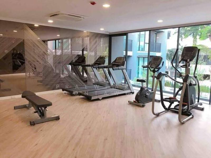Serio Sukhumvit 50, Bangkok, Soi Sukhumvit 50, Phra Kanong, Khlong Toei, Bangkok, 1 Bedroom, 32 sqm, Condo For Rent, by Praewpakar Soontawong, 500559417 - DDproperty.com