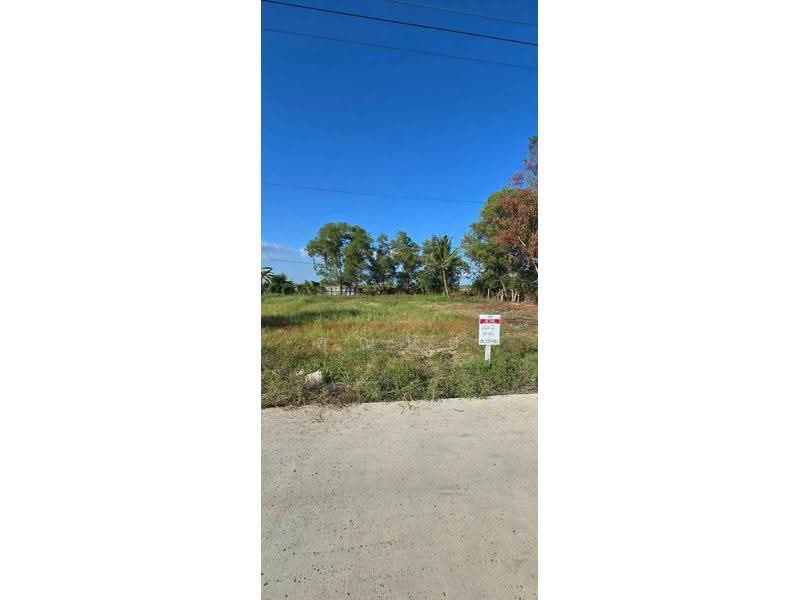 land for sell, Pathum Thani, Khu Khot, Lam Luk Ka, Pathum Thani, , 1,252 sqm, Land For Sale, by คุณนก, 500559420 - DDproperty.com