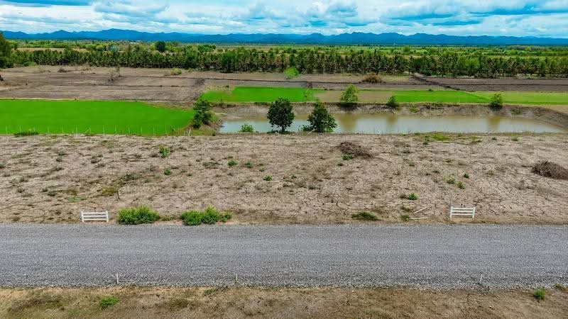 land for sell, Phetchaburi, Cha-am, Cha-Am, Phetchaburi, , 400 sqm, Land For Sale, by คุณเสือ, 500559511 - DDproperty.com